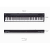 Đàn Piano Điện Roland Go-88P