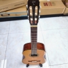 Takamine GC3 NAT