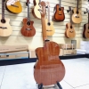 Takamine GC3CE