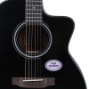 Đàn guitar Sage SF600 GCBK