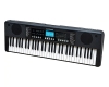 Organ Kurtzman K190